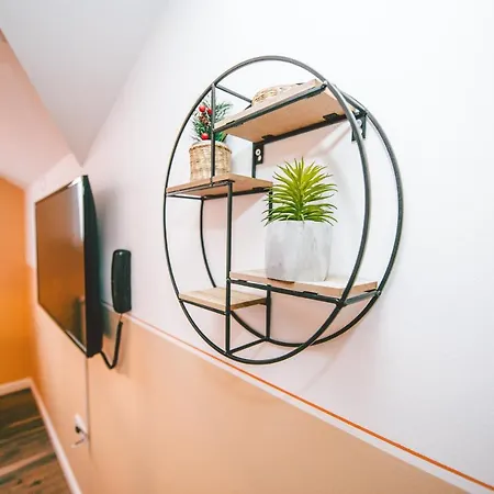 Lola Almost Белград